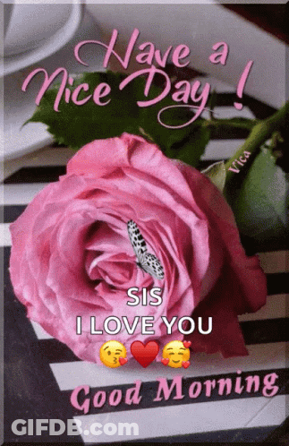 A Pink Rose With A Butterfly And The Words Have A Nice Day Sis I Love You GIF