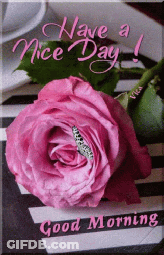 A Pink Rose With A Butterfly On It And The Words Have A Nice Day GIF