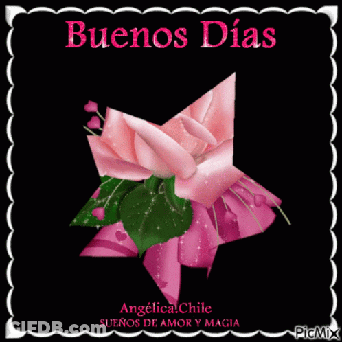 A Pink Rose With Green Leaves And A Pink Bow On A Black Background That Says Buenos Dias GIF