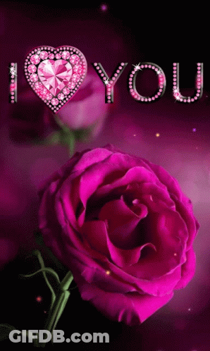 A Pink Rose With The Word I Love You Written On It GIF