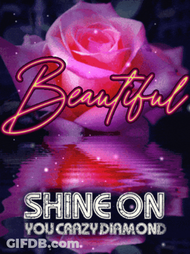 A Pink Rose With The Words Beautiful Shine On You Crazy Diamond GIF