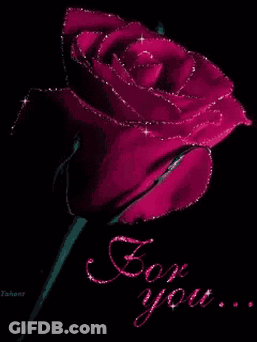 A Pink Rose With The Words For You Written On It GIF