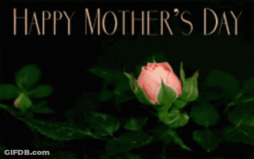 A Pink Rose With The Words Happy Mother 'S Day Below It GIF