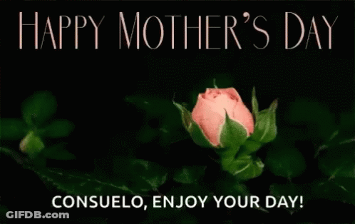 A Pink Rose With The Words " Happy Mother 'S Day Consuelo Enjoy Your Day " Below It GIF