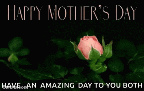 A Pink Rose With The Words Happy Mother 'S Day Have An Amazing Day To You Both Below It GIF