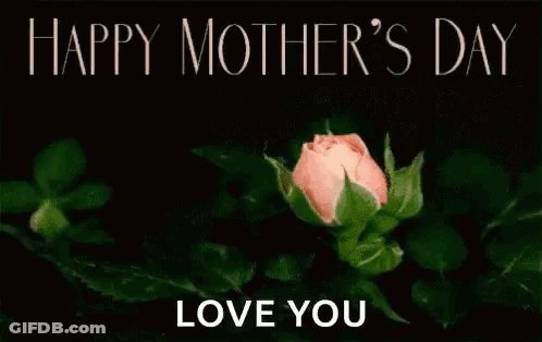 A Pink Rose With The Words `` Happy Mother 'S Day Love You '' Written On It GIF