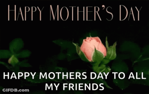 A Pink Rose With The Words `` Happy Mother 'S Day To All My Friends '' GIF