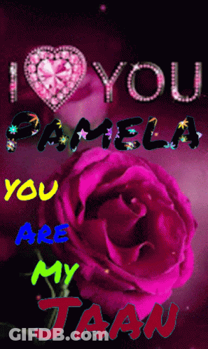 A Pink Rose With The Words I Love You Pamela You Are My Jaan On It GIF