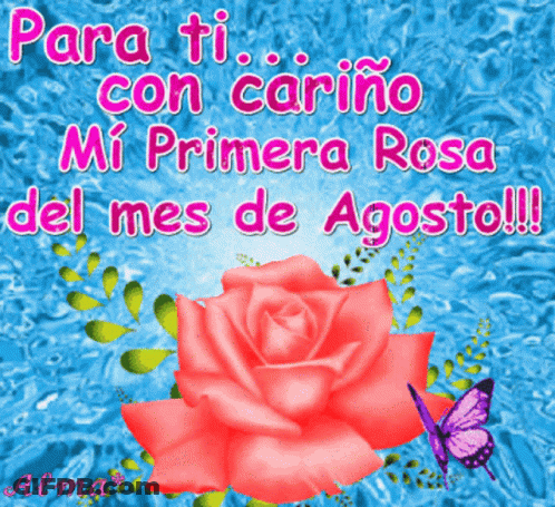 A Pink Rose With The Words Para Ti Con Cariño Mi Primera Rosa Del Mes De Agosto GIF