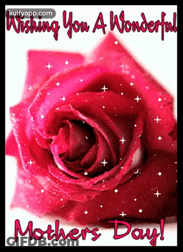 A Pink Rose With The Words Wishing You A Wonderful Mother 'S Day GIF