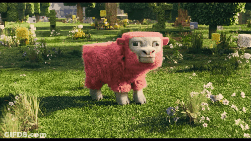 A Pink Sheep Is Standing In The Grass In A Field GIF