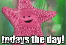 A Pink Starfish With A Face And The Words `` Today 'S The Day '' . GIF
