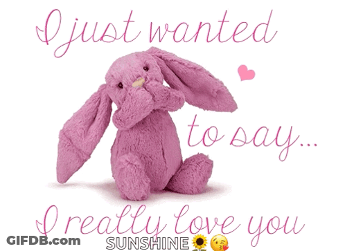 A Pink Stuffed Bunny With The Words " I Just Wanted To Say I Really Love You " Below It GIF
