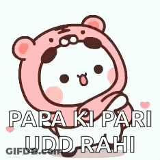 A Pink Teddy Bear Is Holding A Heart And Saying Papa Ki Pari Udd Rahi . GIF