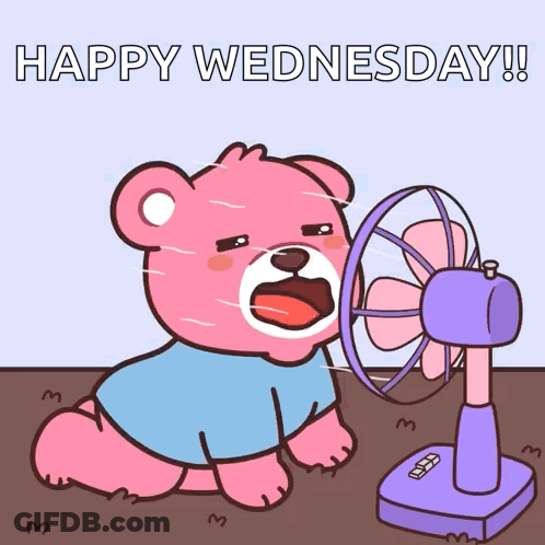 A Pink Teddy Bear Is Sitting In Front Of A Fan With The Words Happy Wednesday Written On The Bottom GIF