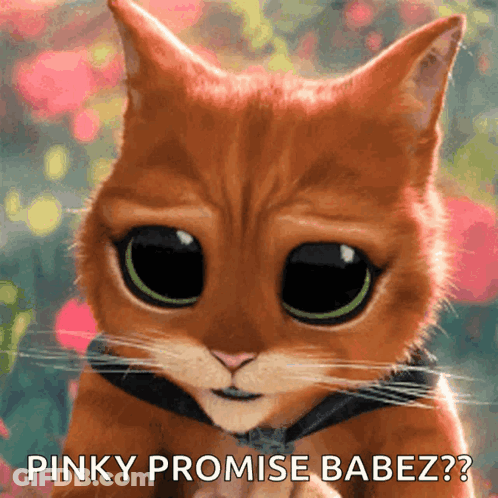 A Pinky Promise Babez Is Written On A Picture Of A Cat GIF
