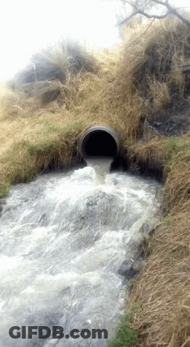 A Pipe With Water Coming Out Of It In A Field GIF