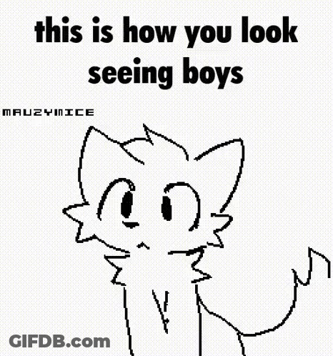 A Pixel Art Drawing Of A Cat With The Words `` This Is How You Look Seeing Boys '' Written On It . GIF