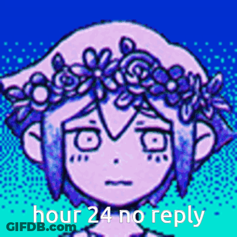 A Pixel Art Drawing Of A Girl With A Flower Crown On Her Head And The Words Hour 24 No Reply GIF