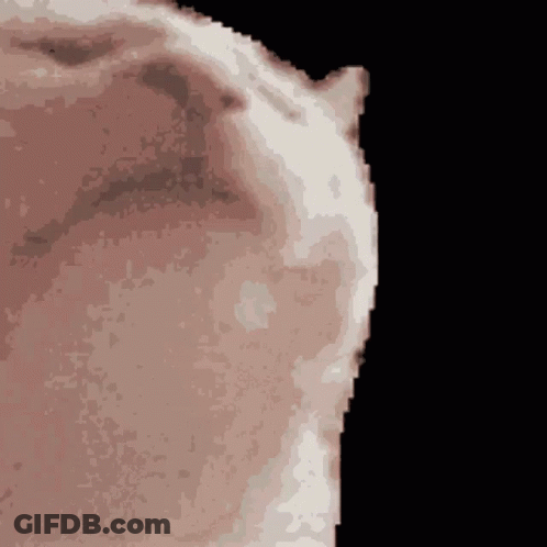 A Pixel Art Drawing Of A Person 'S Face With A Black Background GIF