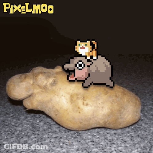 A Pixel Art Image Of A Cat Riding A Hippopotamus On Top Of A Potato GIF