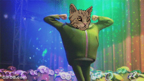 A Pixel Art Of A Cat In A Green Jacket Dancing GIF