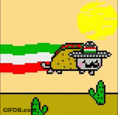 A Pixel Art Of A Cat Wearing A Sombrero And A Taco Flying Through The Air . GIF