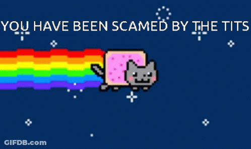 A Pixel Art Of A Cat With A Rainbow Coming Out Of Its Mouth And The Words " You Have Been Scamed By The Tits " GIF