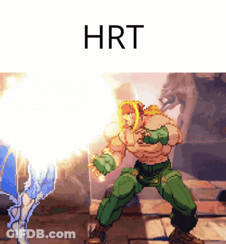 A Pixel Art Of A Fighter With The Word Hrt On The Bottom GIF