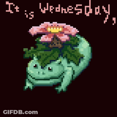 A Pixel Art Of A Frog With A Pink Flower On Its Head And The Words It Is Wednesday My Dudes GIF
