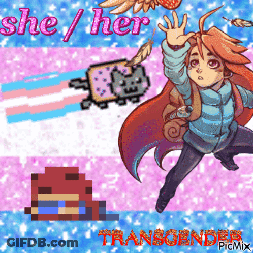 A Pixel Art Of A Girl And A Cat With The Words She Her Transgender GIF