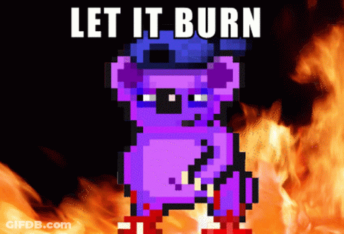 A Pixel Art Of A Koala With The Words Let It Burn GIF