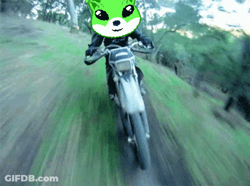 A Pixel Art Of A Person Riding A Dirt Bike With A Green Hamster On Their Head GIF