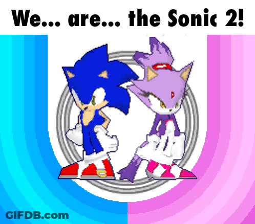 A Pixel Art Of Sonic And Blaze With The Words We Are The Sonic 2 GIF