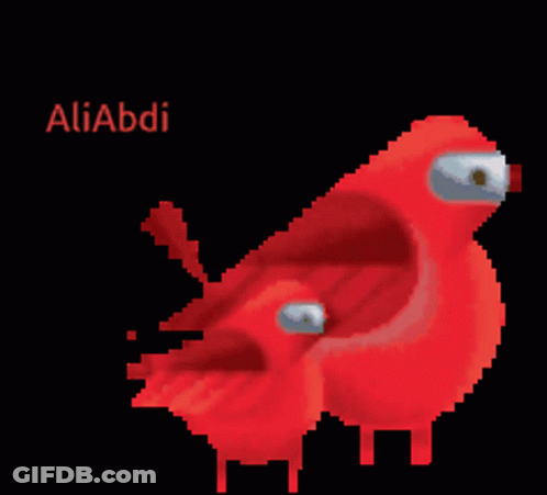 A Pixel Art Of Two Red Birds With The Name Aliabdi Written Below Them GIF
