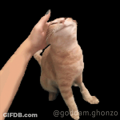 A Pixelated Image Of A Person Petting A Cat With The Hashtag Goddam.ghonzo GIF