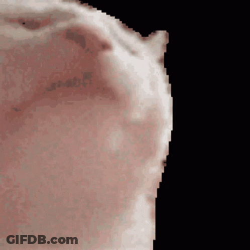 A Pixelated Image Of A Person 'S Face Against A Black Background GIF
