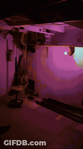A Pixelated Image Of A Room With Purple Lighting GIF