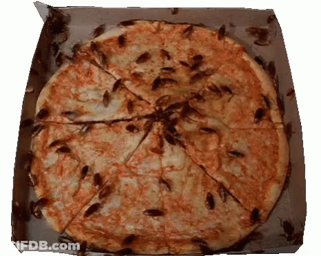 A Pizza In A Box Covered In Cockroaches GIF