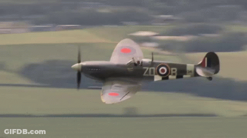 A Plane With The Letters Zoob On The Side GIF