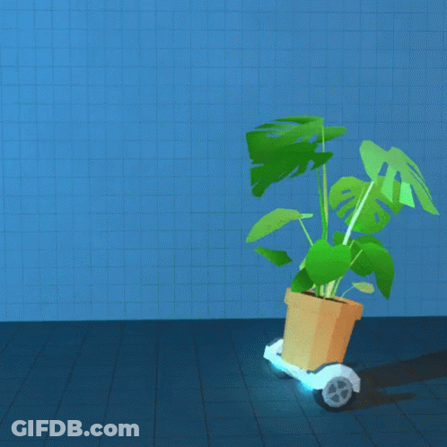 A Plant In A Pot Is On A Scooter GIF