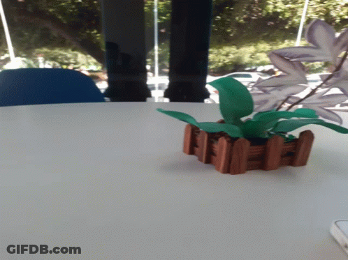 A Plant In A Small Wooden Planter Sits On A White Table GIF