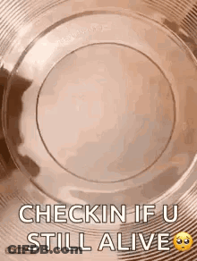 A Plastic Plate With The Words `` Check In If U Still Alive '' Written On It . GIF