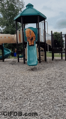 A Playground With A Blue Slide And A Tower GIF