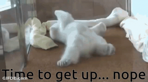 A Polar Bear Cub Is Laying On The Floor With The Words Time To Get Up Nope Written Below It GIF