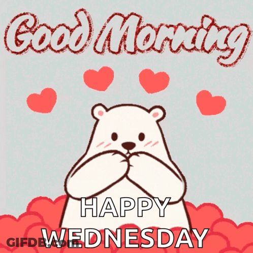 A Polar Bear Holding A Red Heart With The Words " Good Morning Happy Wednesday " Below It GIF