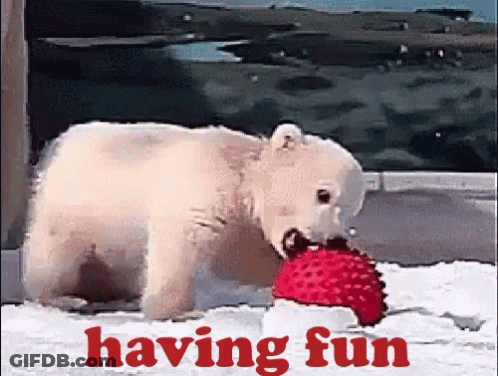 A Polar Bear Is Playing With A Red Ball With The Words Having Fun Written Below It GIF