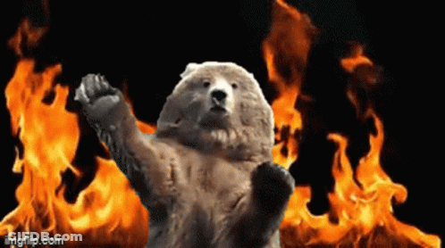 A Polar Bear Is Standing In Front Of A Fire With A Black Background GIF