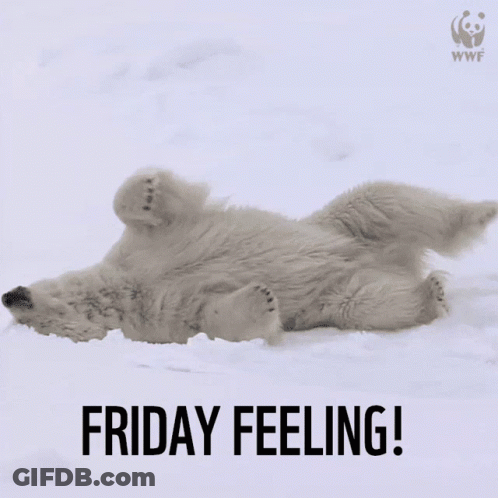 A Polar Bear Laying On Its Back In The Snow With The Words Friday Feeling Written Below It GIF