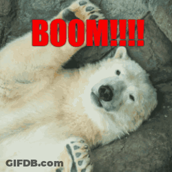 A Polar Bear Laying On Its Back With The Word Boom In Red Letters GIF